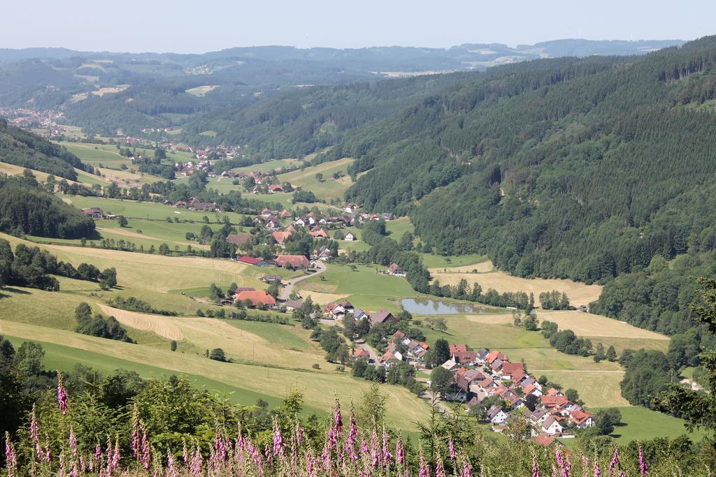 Hotel Haus Traudel Matt Elzach Exteriér fotografie