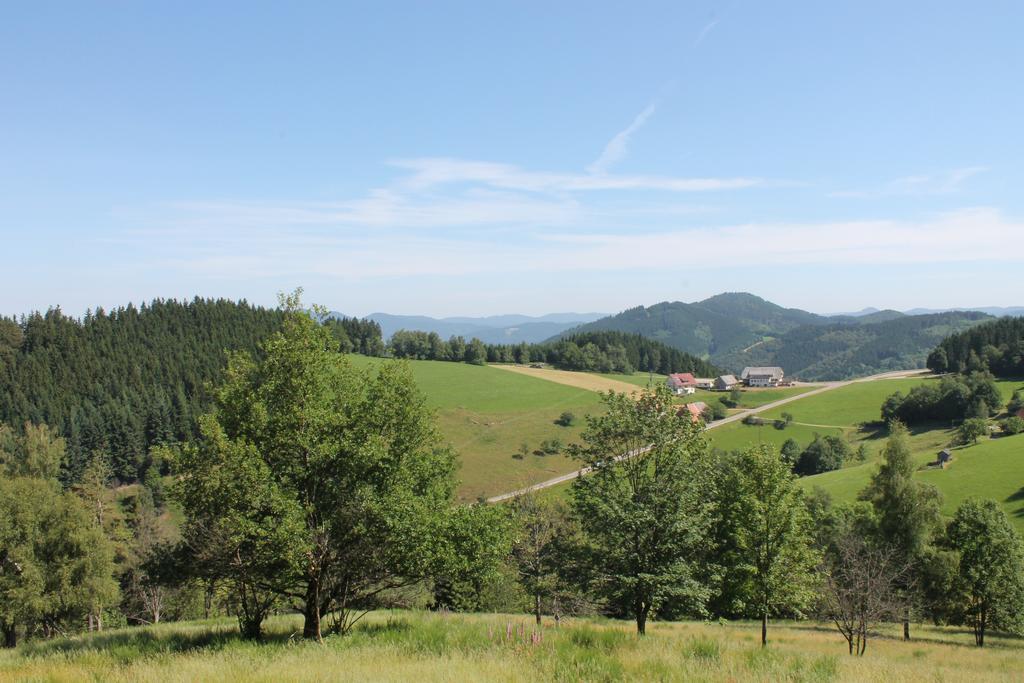 Hotel Haus Traudel Matt Elzach Exteriér fotografie